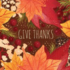 Give Thanks Sq Poster Print by Sara Berrenson - Item # VARPDXBER194