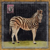 Zebra Poster Print by Lisa Ven Vertloh - Item # VARPDXVEN116