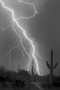 Fire and Rain BW Poster Print by Douglas Taylor - Item # VARPDXPSTLR681