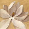 Sunset Flower I on Gold Poster Print by Silvia Vassileva - Item # VARPDX29084