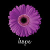 Hope Daisy Poster Print by Jim Christensen - Item # VARPDXCRS029