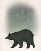 Ursa Major Poster Print by Ryan Fowler - Item # VARPDX28225