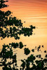 River at Twilight II Poster Print by Alan Hausenflock - Item # VARPDXPSHSF2147