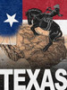 Texas Poster Print by Todd Williams - Item # VARPDXTWM343