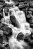 Trailside Waterfall I BW Poster Print by Douglas Taylor - Item # VARPDXPSTLR630
