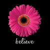 Believe Daisy Poster Print by Jim Christensen - Item # VARPDXCRS028