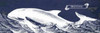 Indigo Whale II Poster Print by Gwendolyn Babbitt