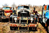 Truck Graveyard Poster Print by Alan Hausenflock - Item # VARPDXPSHSF2099