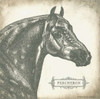 Percheron Poster Print by Gwendolyn Babbitt - Item # VARPDXBAB123