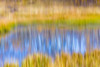 Fall Pond I Poster Print by Kathy Mahan - Item # VARPDXPSMHN699