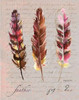 Feathers Fig 2 Poster Print by Gregory Gorham - Item # VARPDXGOR545