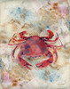 Red Crab Poster Print by LuAnn Roberto - Item # VARPDXRTO113