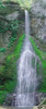 Port Angeles Falls Poster Print by George Johnson - Item # VARPDXPSJSN228