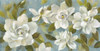 Gardenias on Slate Blue Poster Print by Silvia Vassileva - Item # VARPDX29070