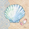 Serene Seashells I Poster Print by Paul Brent - Item # VARPDXBNT685