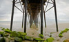 Under Oceanside Pier Poster Print by Lee Peterson - Item # VARPDXPSPSN311