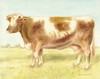 Cow Poster Print by Gwendolyn Babbitt - Item # VARPDXBAB268