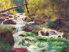 Mountain Stream Poster Print by Carol Bailey - Item # VARPDXBAI108