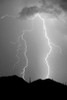 Summer Lightning BW Poster Print by Douglas Taylor - Item # VARPDXPSTLR679