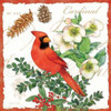 Holiday Birds II Poster Print by Julie Paton - Item # VARPDXPAT171