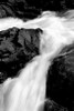 Sol Duc River II BW Poster Print by Douglas Taylor - Item # VARPDXPSTLR621