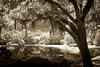 http://c328301.r1.cf1.rackcdn.com/PDXPSHSF1912SMALL.jpg