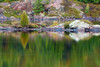 Reflections Poster Print by Chuck Burdick