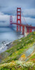 Golden Gate Bridge IV Poster Print by Rita Crane - Item # VARPDXPSCRN569
