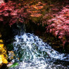 Gentle Waterfall I Poster Print by Alan Hausenflock - Item # VARPDXPSHSF2071