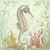 Seahorse II Poster Print by Kate McRostie - Item # VARPDXMCR101