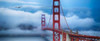 Golden Gate Bridge II Poster Print by Rita Crane - Item # VARPDXPSCRN567