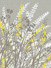 Yellow Meadow II Poster Print by Kris Ruff - Item # VARPDXRUF133