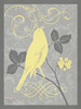 Grey and Yellow Bird III Poster Print by Gwendolyn Babbitt - Item # VARPDXBAB365