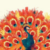 Peacock II Poster Print by Sara Berrenson - Item # VARPDXBER143