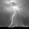 Urban Lightning II BW Poster Print by Douglas Taylor - Item # VARPDXPSTLR678