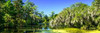Gaias Pond Poster Print by Alan Hausenflock - Item # VARPDXPSHSF1951