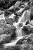 Trailside Waterfall II BW Poster Print by Douglas Taylor - Item # VARPDXPSTLR631