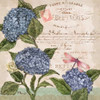 Parisian Hydrangeas I Poster Print by Paul Brent - Item # VARPDXBNT729