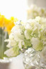 White Bouquet Poster Print by Karyn Millet - Item # VARPDXPSMLT483