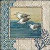 Sandpiper Shore II Poster Print by Paul Brent - Item # VARPDXBNT1210