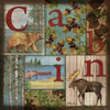 C is for Cabin Poster Print by Paul Brent - Item # VARPDXBNT1078
