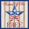 Patriotic Barn Star I Poster Print by Paul Brent - Item # VARPDXBNT664