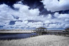 River in the Marsh II Poster Print by Alan Hausenflock - Item # VARPDXPSHSF2141