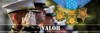 Valor Poster Print by Alan Hausenflock - Item # VARPDXPSHSF2167