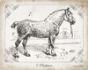 Farm Horse I Poster Print by Gwendolyn Babbitt - Item # VARPDXBAB087
