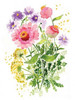 Dandelion Poster Print by Sara Berrenson - Item # VARPDXBER170