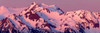 Alpenglow on Olympic Mountains Poster Print by Douglas Taylor - Item # VARPDXPSTLR575