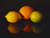 Citrus Reflections Poster Print by Monika Burkhart - Item # VARPDXPSBHT266