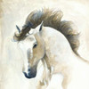 Horse II Poster Print by Laurencon - Item # VARPDXLCN021