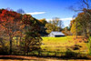 Weathered Barn Poster Print by Alan Hausenflock - Item # VARPDXPSHSF1981